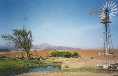 Farm and waterhole near Huab River